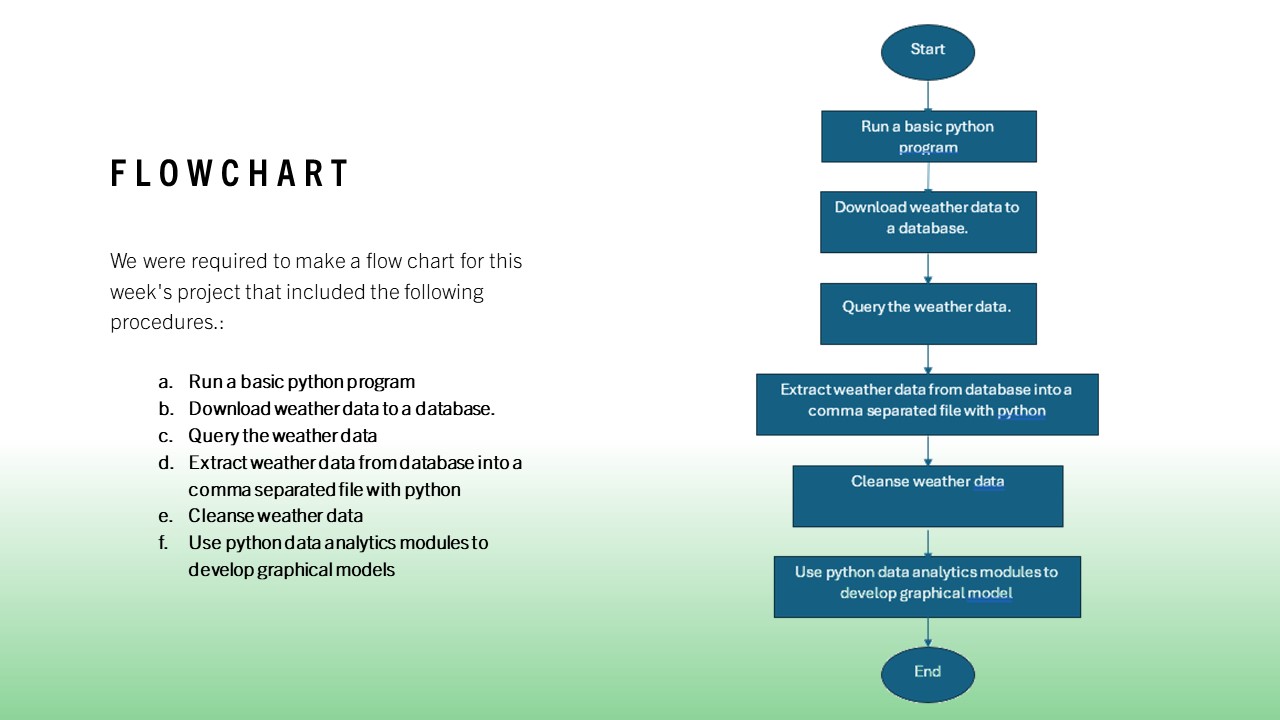 Slide 5